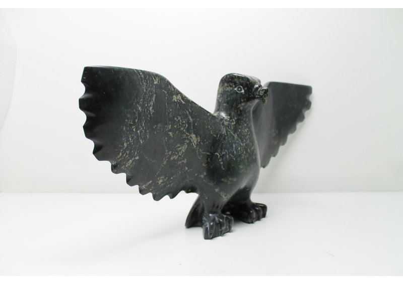 349 Bird by Jomie Aipeelee