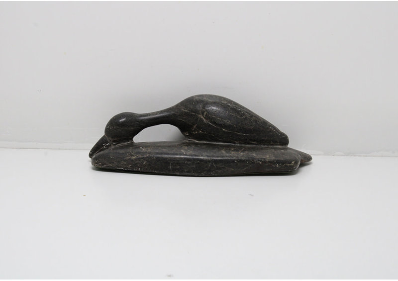 24328 Loon by Unknown Artist