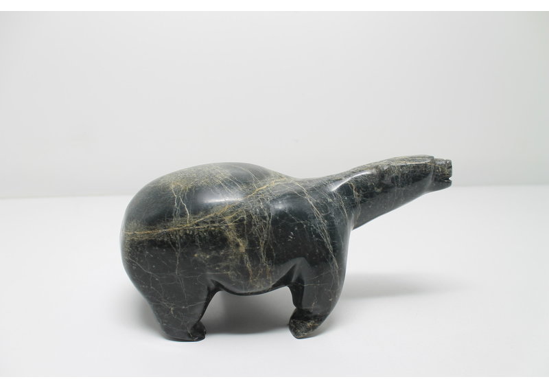 319 Walking bear by Moe Petooloosie