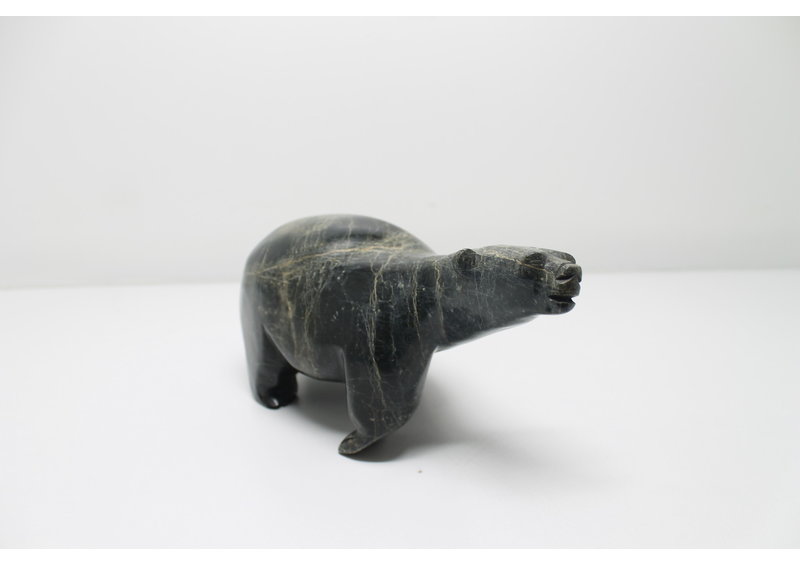 319 Walking bear by Moe Petooloosie