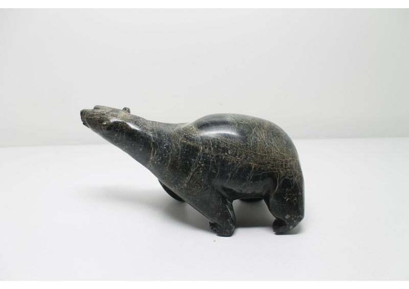 319 Walking bear by Moe Petooloosie