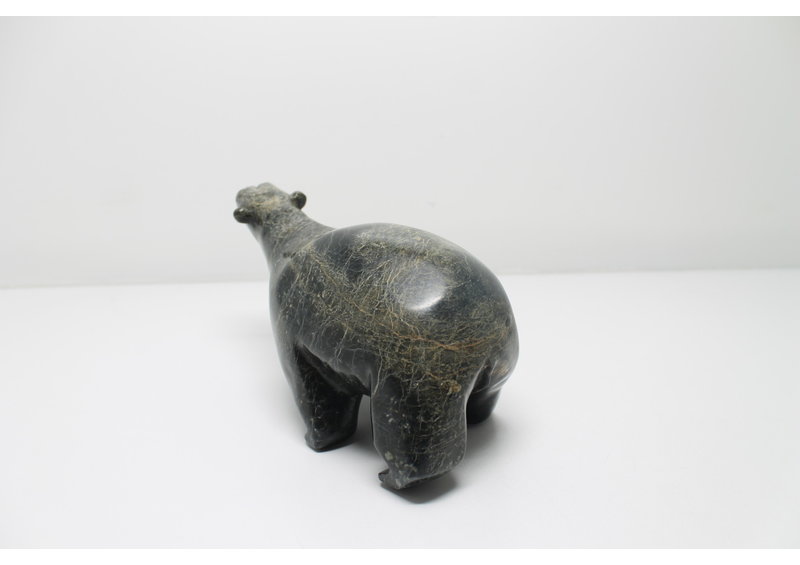 319 Walking bear by Moe Petooloosie