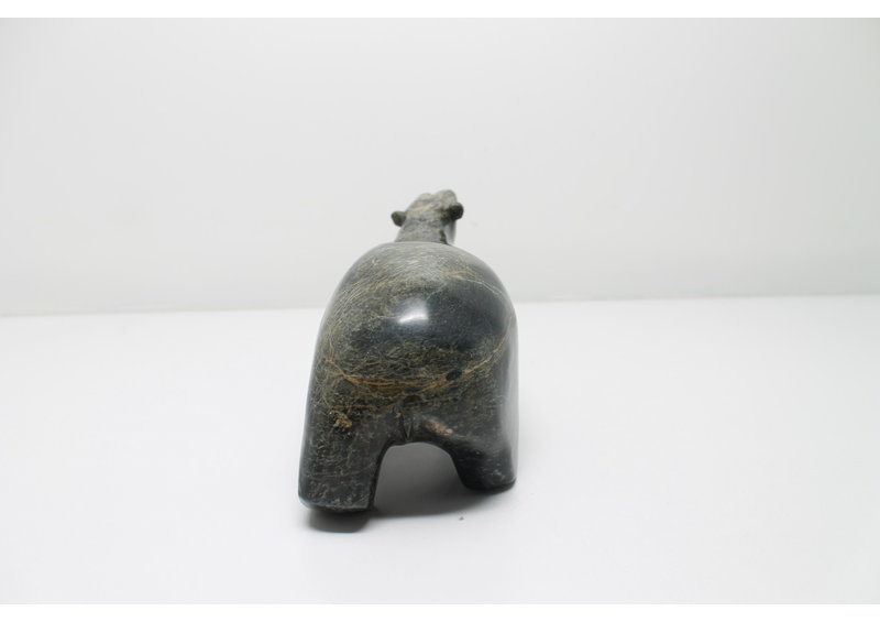 319 Walking bear by Moe Petooloosie