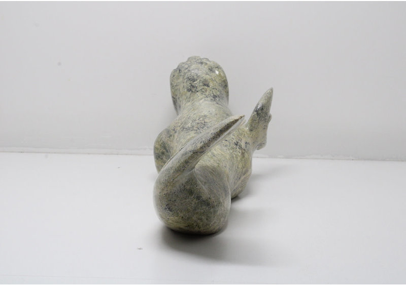 16956 Transformation by Ning Ashoona