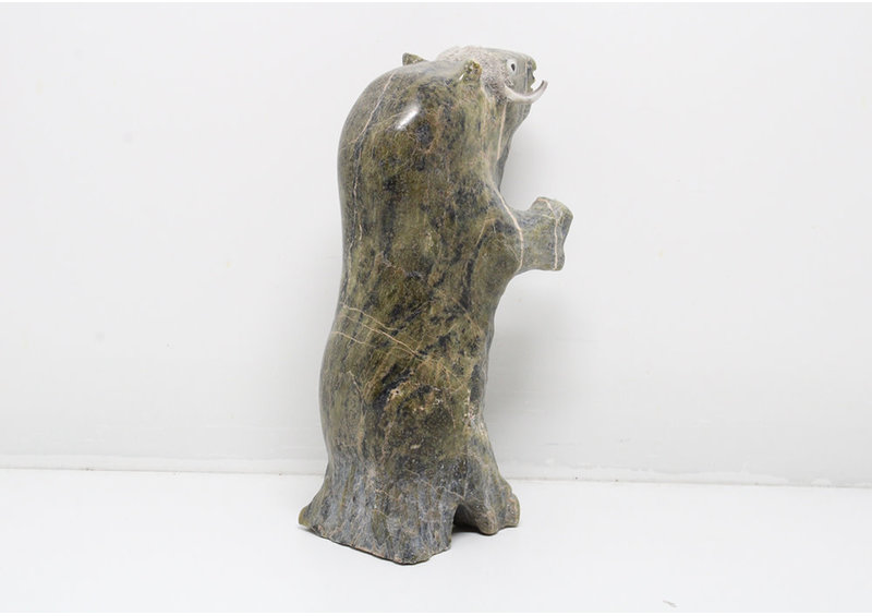 4628 Dancing musk ox by Jomie Aipeelee