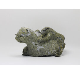 18177 Wolf hunting musk ox