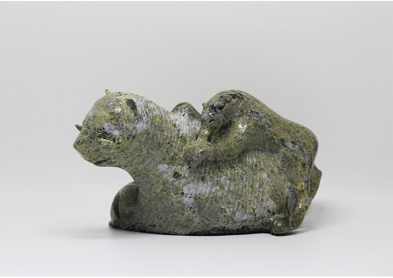 18177 Wolf hunting musk ox