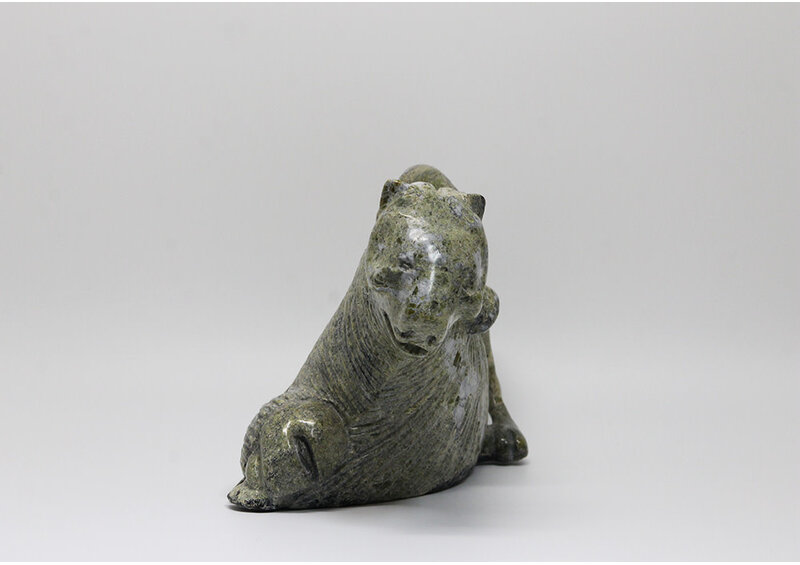 18177 Wolf hunting musk ox