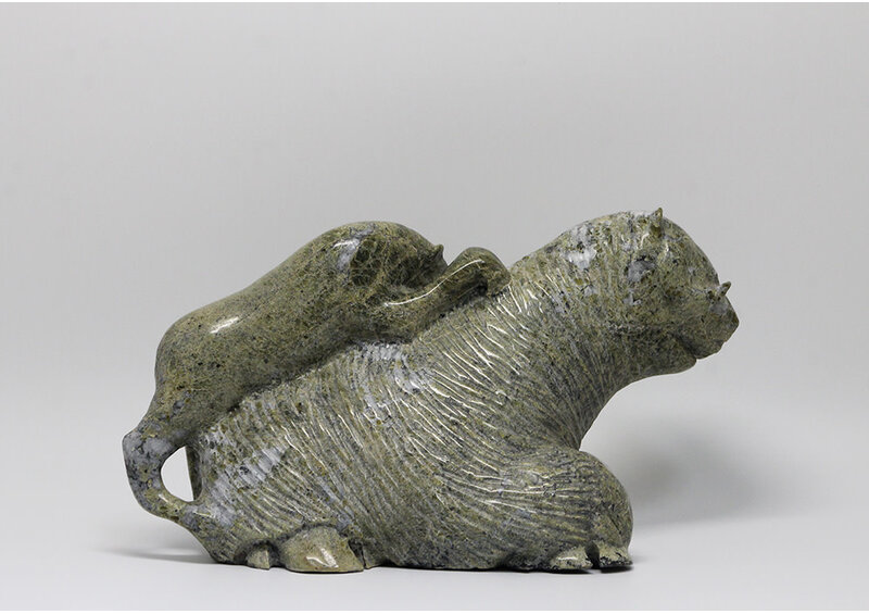 18177 Wolf hunting musk ox