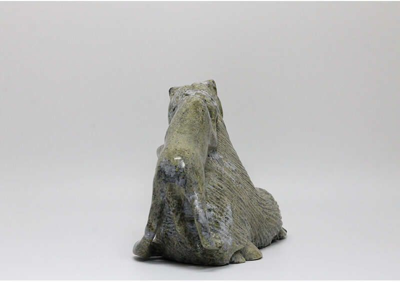 18177 Wolf hunting musk ox