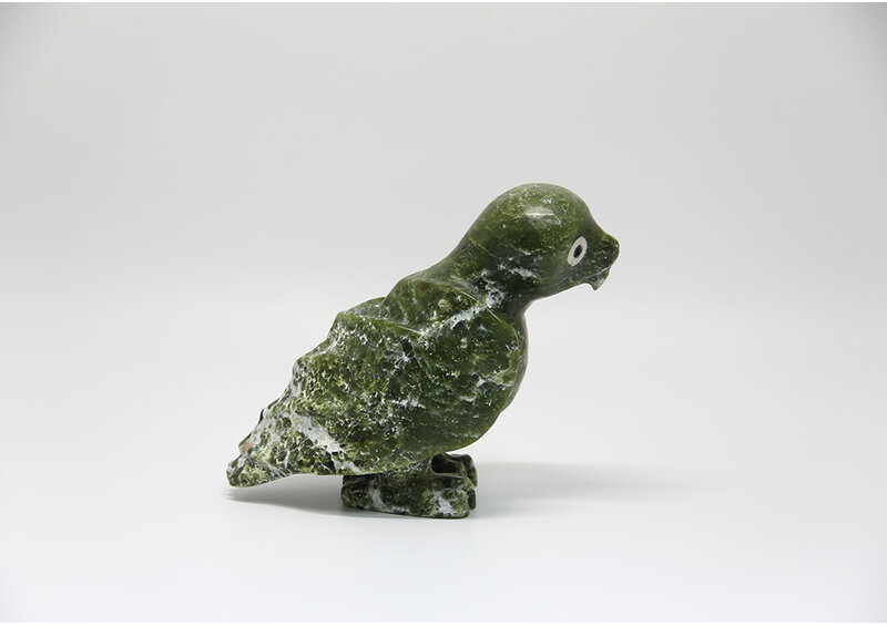 11074 Owl by Jomie Aipeelee