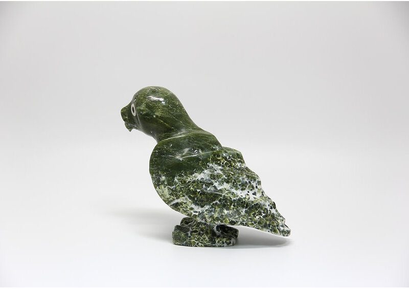 11074 Owl by Jomie Aipeelee