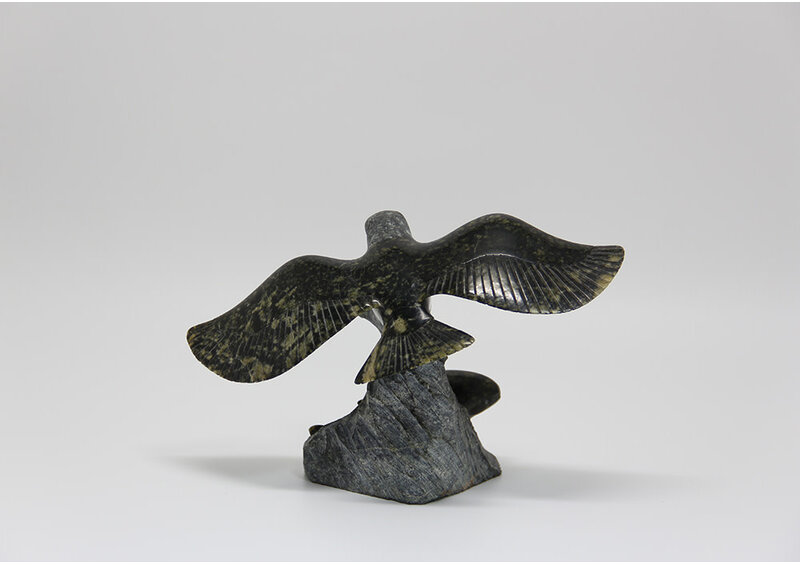 11307 Flying eagle by Pitseolak Qimirpik