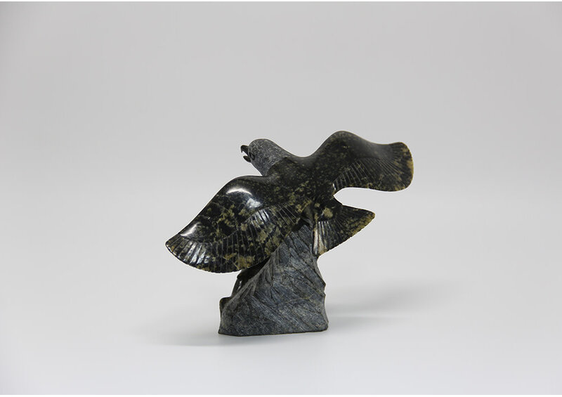 11307 Flying eagle by Pitseolak Qimirpik