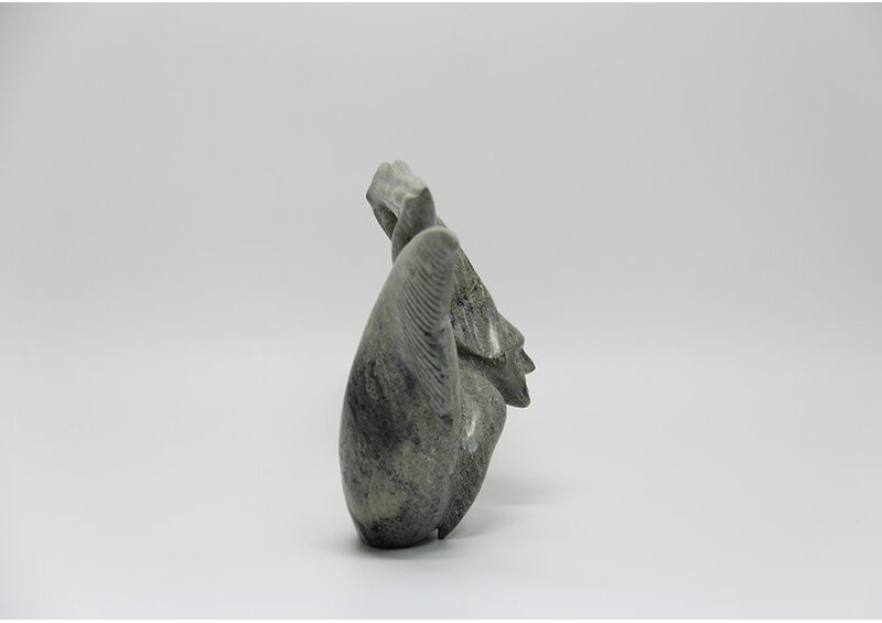 17622 Sedna by Jimmy Petooloosie