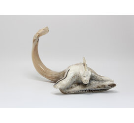 24433 Musk ox horn sea creature by Ben Kovik