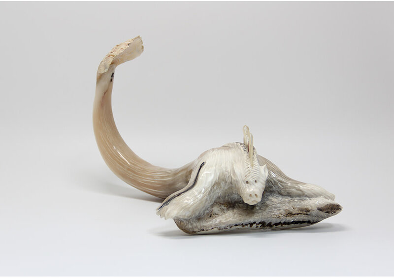 24433 Musk ox horn sea creature by Ben Kovik