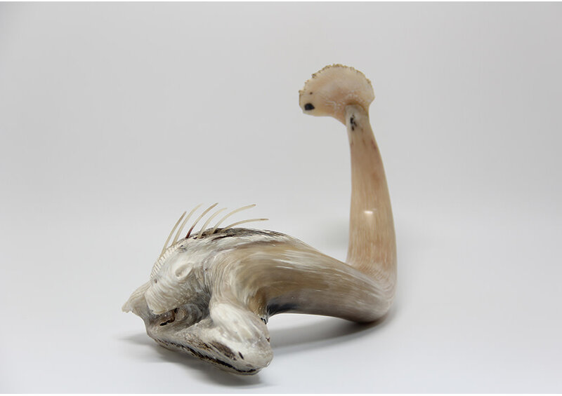 24433 Musk ox horn sea creature by Ben Kovik