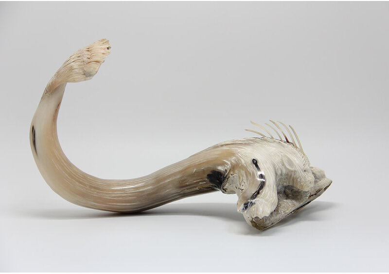 24433 Musk ox horn sea creature by Ben Kovik