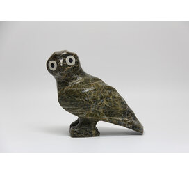 3920 Owl by Jomie Aipeelee