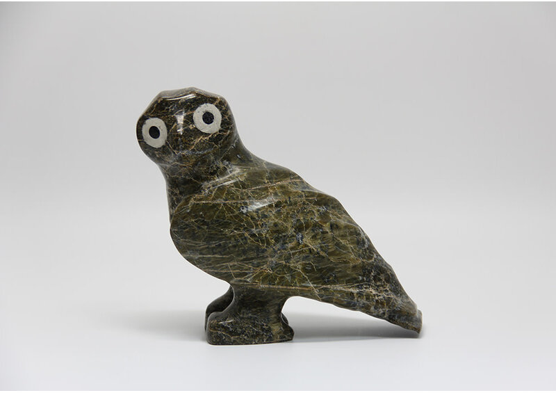 3920 Owl by Jomie Aipeelee