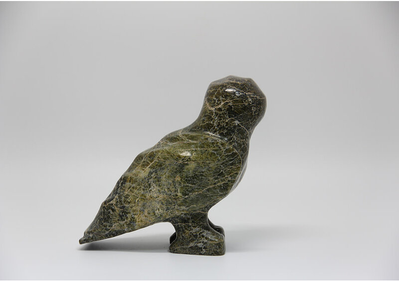 3920 Owl by Jomie Aipeelee