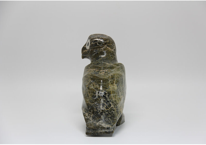 3920 Owl by Jomie Aipeelee