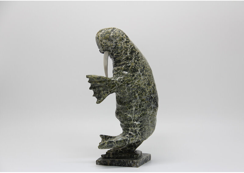 8153 Dancing walrus by Jomie Aipeelee