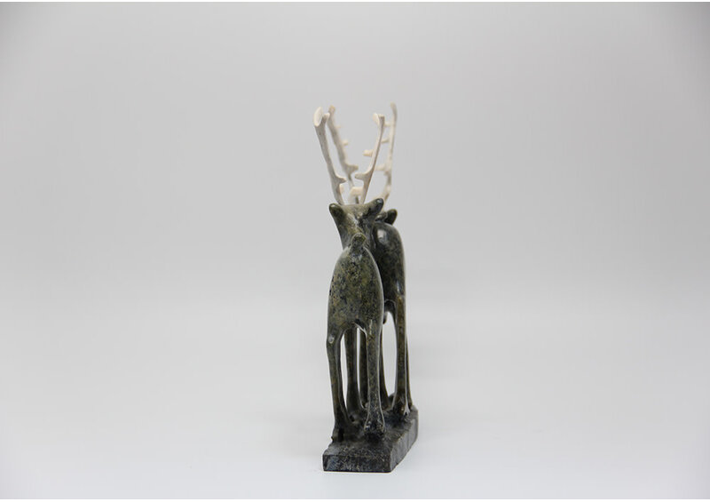 19729 Two caribou by Pavinak Petaulassie