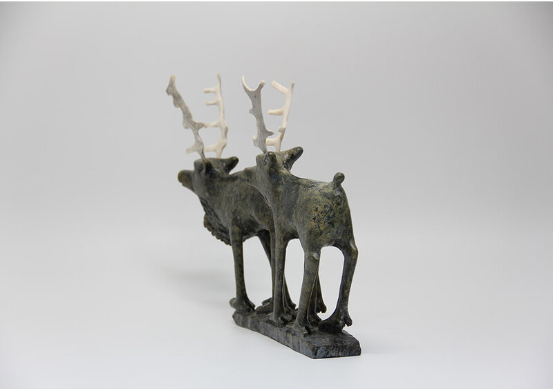 19729 Two caribou by Pavinak Petaulassie