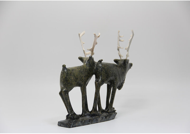 19729 Two caribou by Pavinak Petaulassie