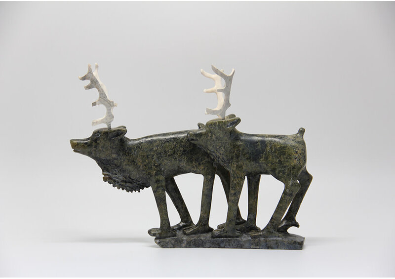 19729 Two caribou by Pavinak Petaulassie