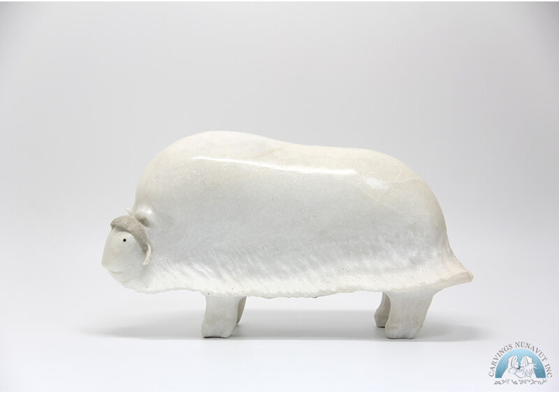 24358 Marble musk ox by Jomie Aipeelie