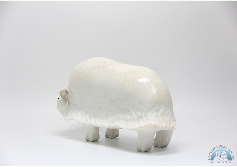 24358 Marble musk ox by Jomie Aipeelie