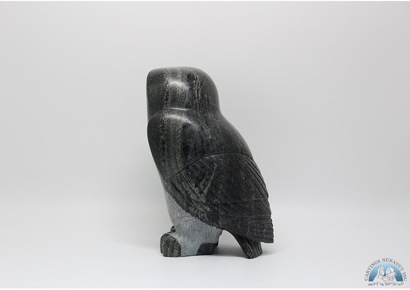 24808 Owl by Pitseolak Qimirpik