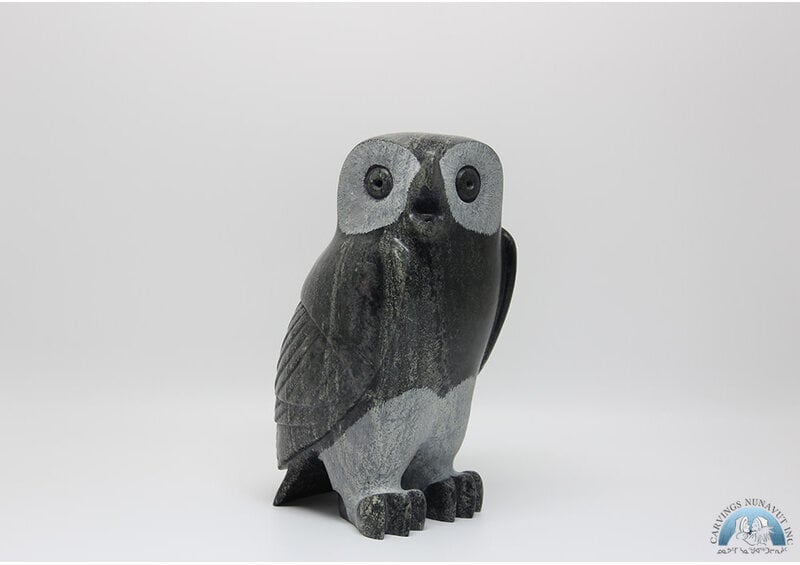 24808 Owl by Pitseolak Qimirpik