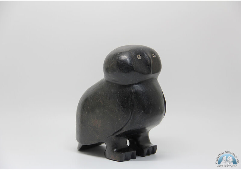 24366 Owl by Kupapik Ningeocheak