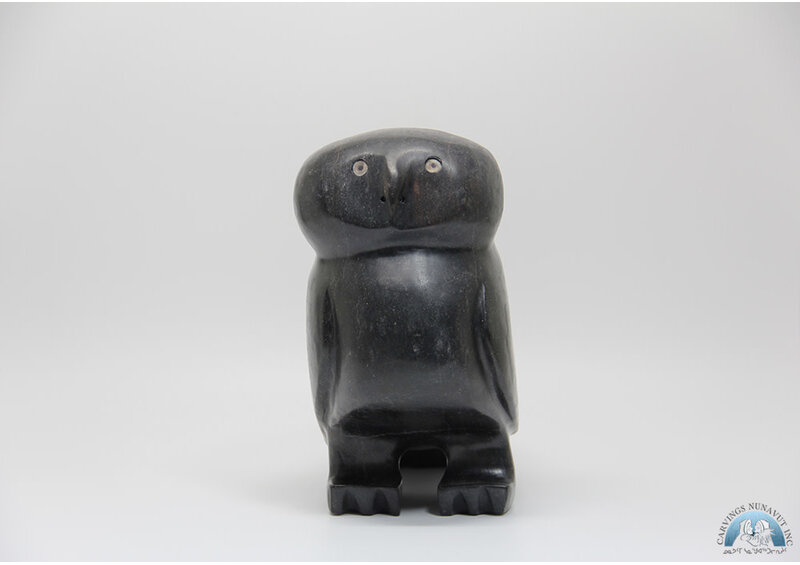 24366 Owl by Kupapik Ningeocheak