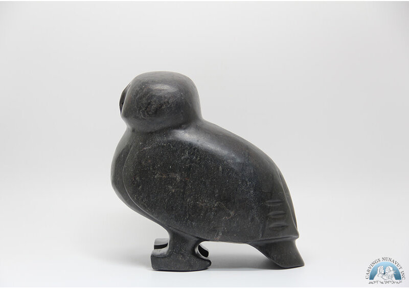 24366 Owl by Kupapik Ningeocheak