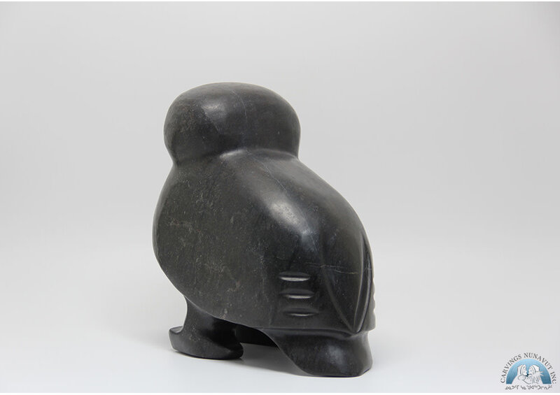 24366 Owl by Kupapik Ningeocheak