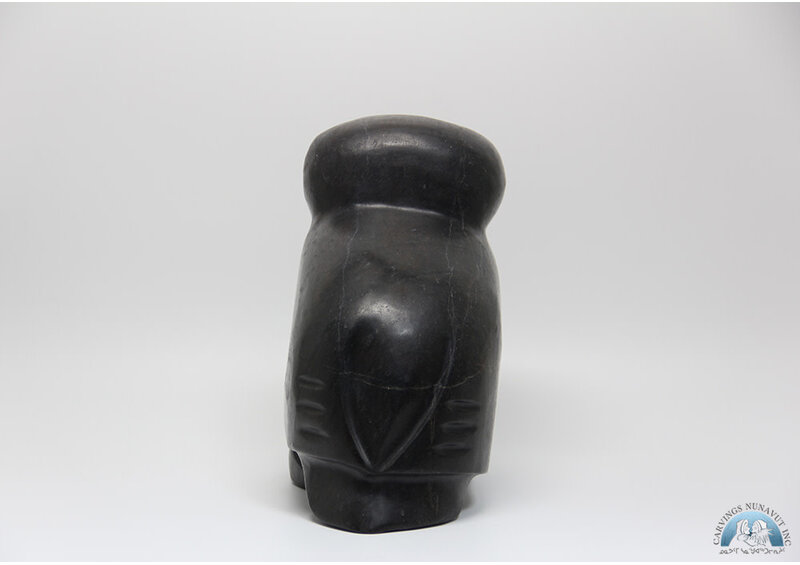 24366 Owl by Kupapik Ningeocheak