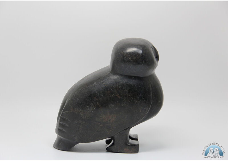 24366 Owl by Kupapik Ningeocheak