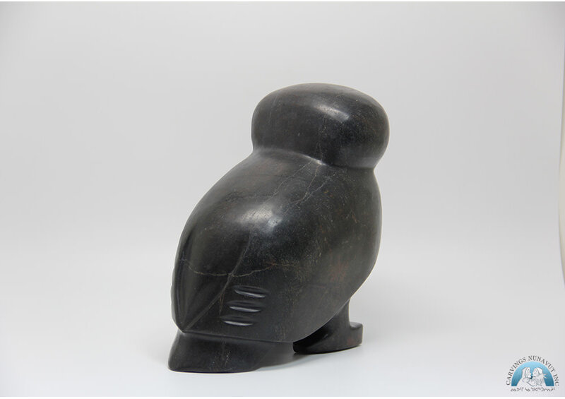 24366 Owl by Kupapik Ningeocheak