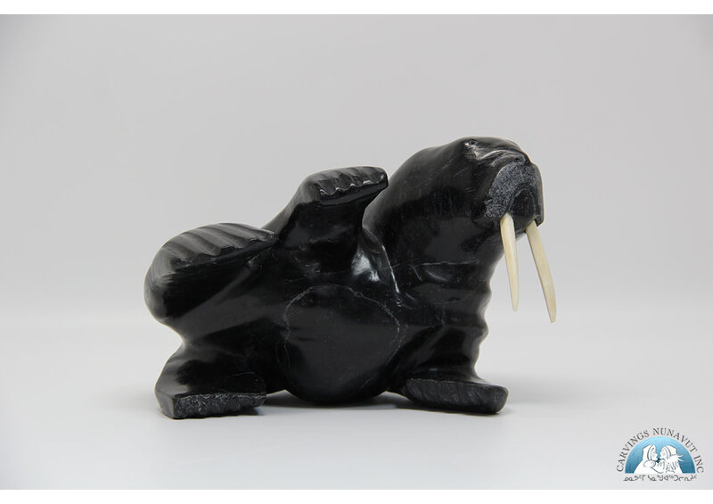 24816 Walrus by Anilnilk Peelaktoak