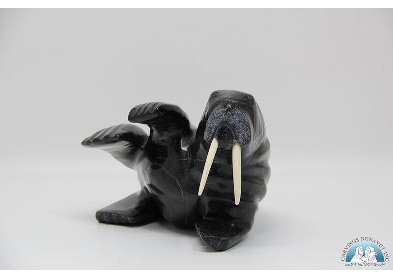 24816 Walrus by Anilnilk Peelaktoak