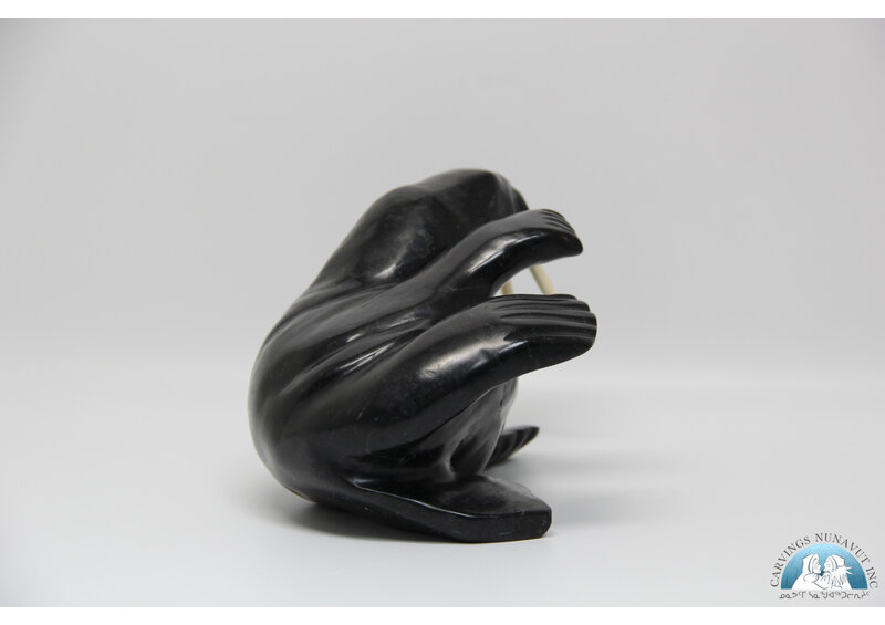 24816 Walrus by Anilnilk Peelaktoak