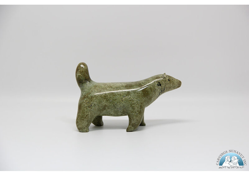 24277 Husky by Nowdlak Lyta