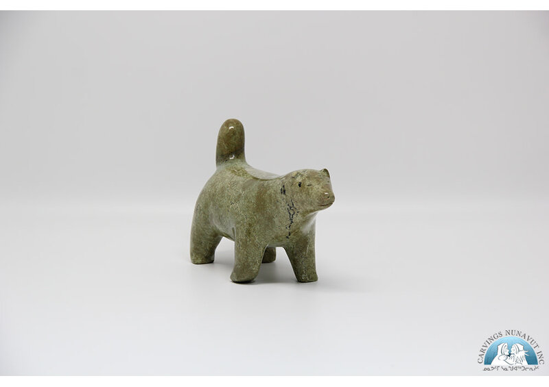 24277 Husky by Nowdlak Lyta