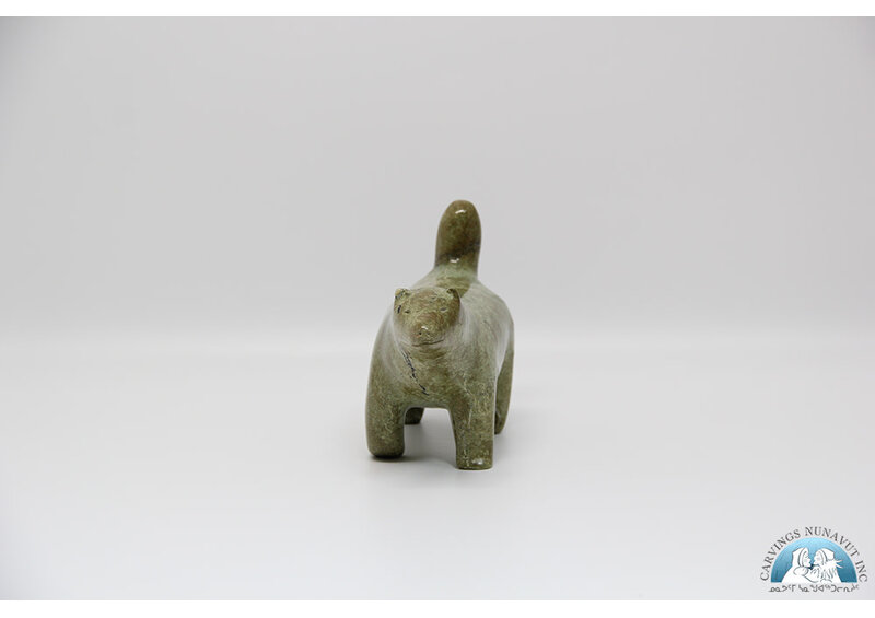 24277 Husky by Nowdlak Lyta