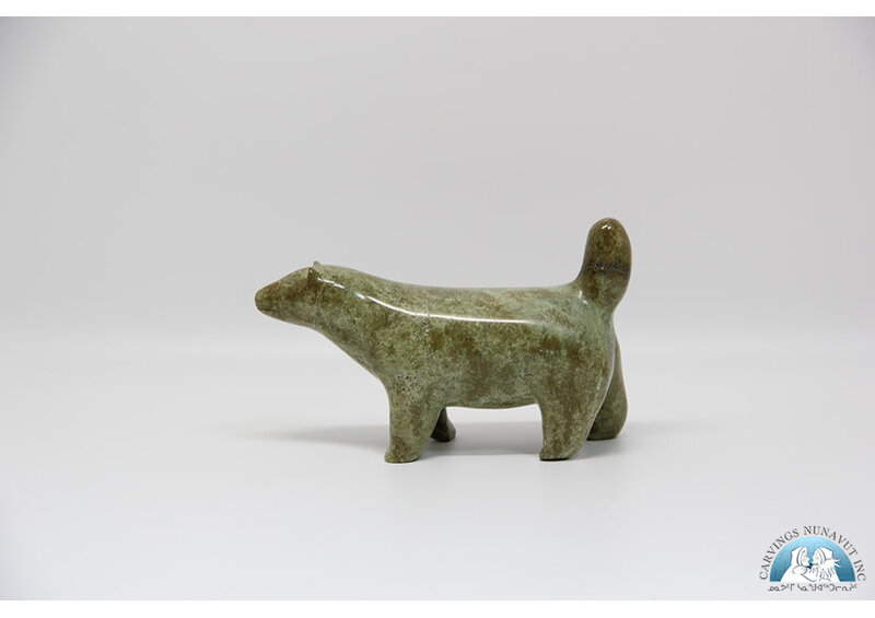 24277 Husky by Nowdlak Lyta